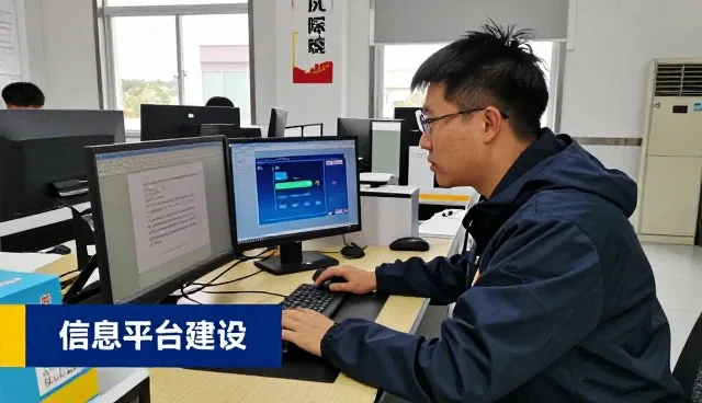 信息技术咨询如何满足现代旧房翻新需求